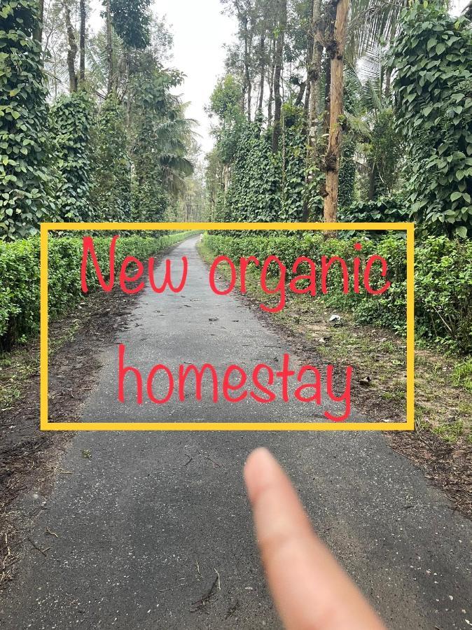 New Organic Home Stay Mudigere Eksteriør bilde