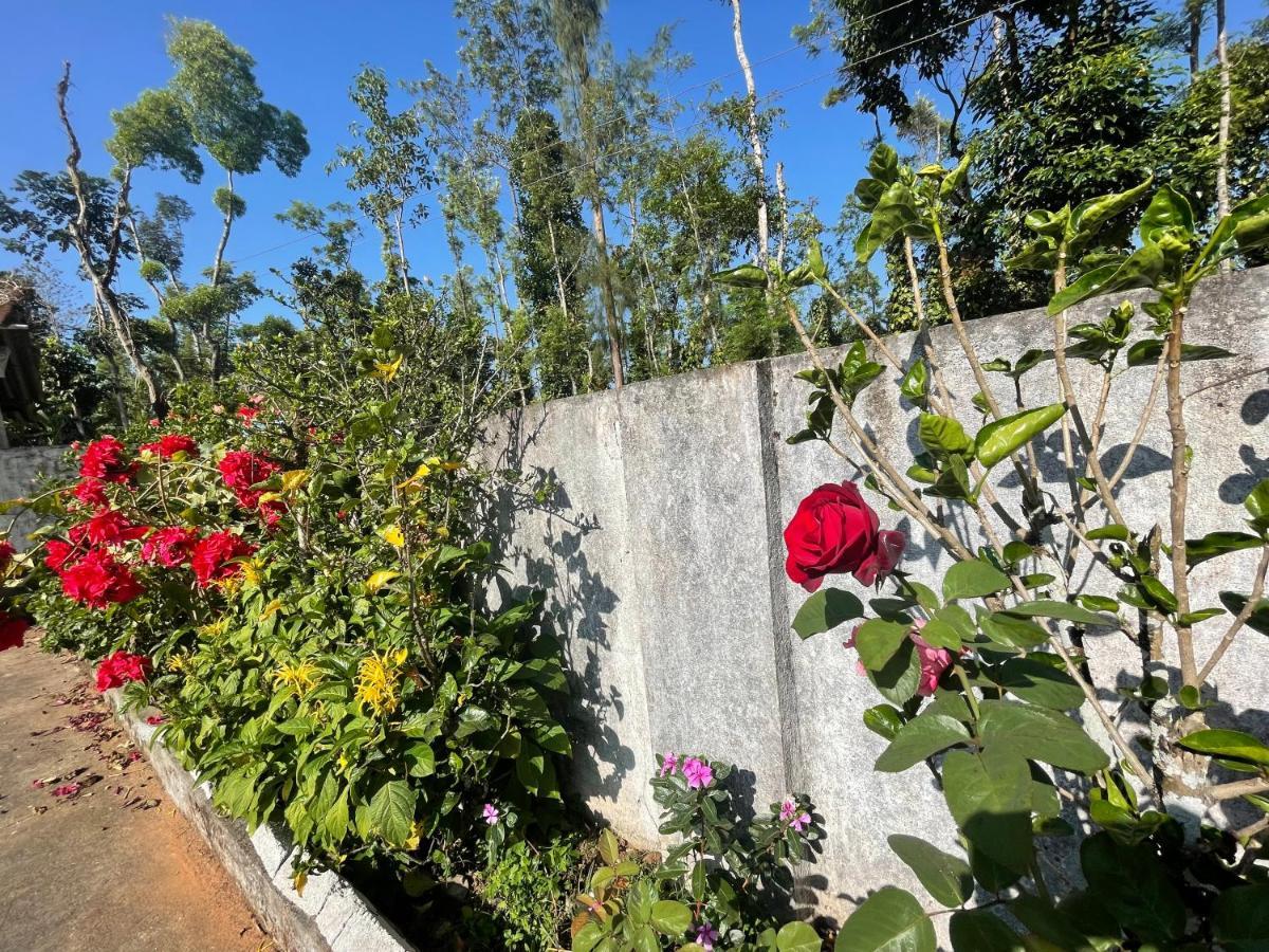 New Organic Home Stay Mudigere Eksteriør bilde