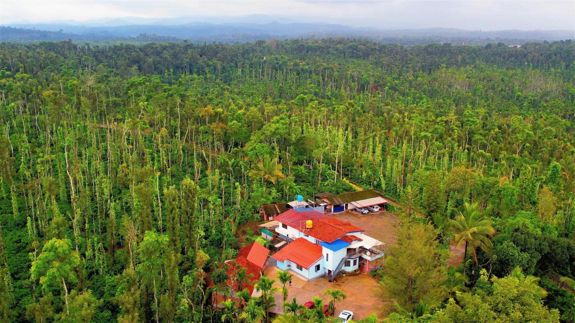 New Organic Home Stay Mudigere Eksteriør bilde